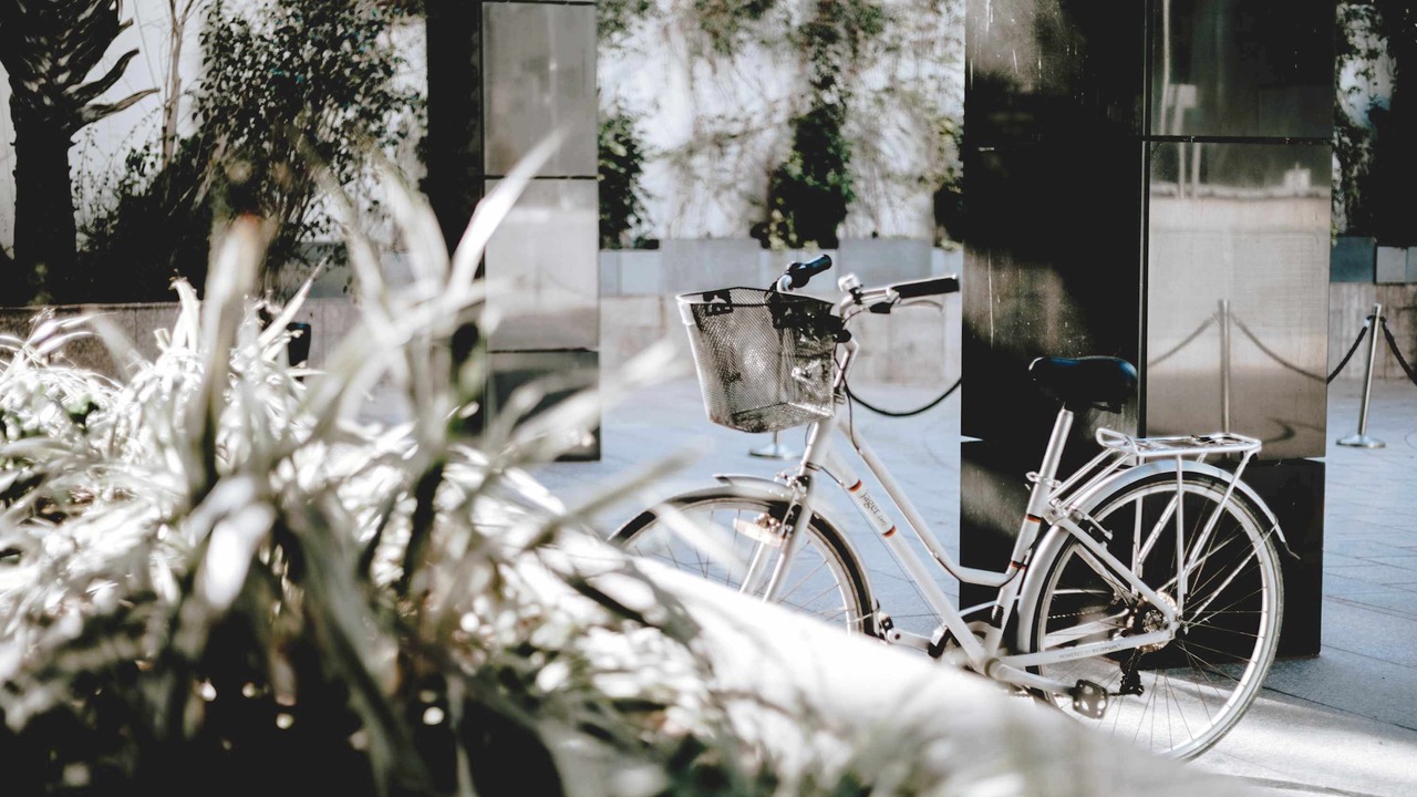 Photo of Outdoor in Herzliya