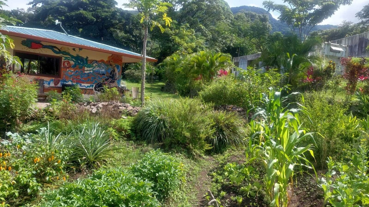 Photo of Outdoor in Monteverde