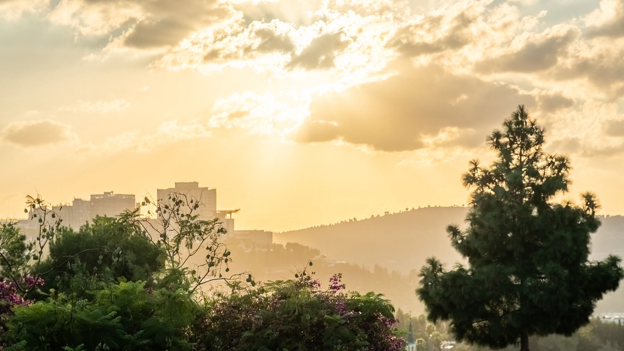 Photo of Others in Ein Karem