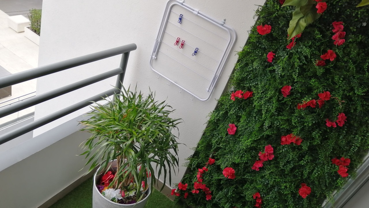 Photo of Outdoor in Catedral