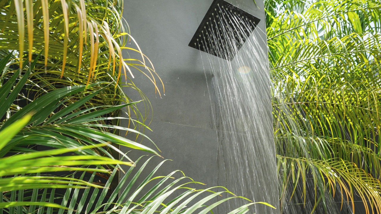 Photo of Outdoor in Playa Grande