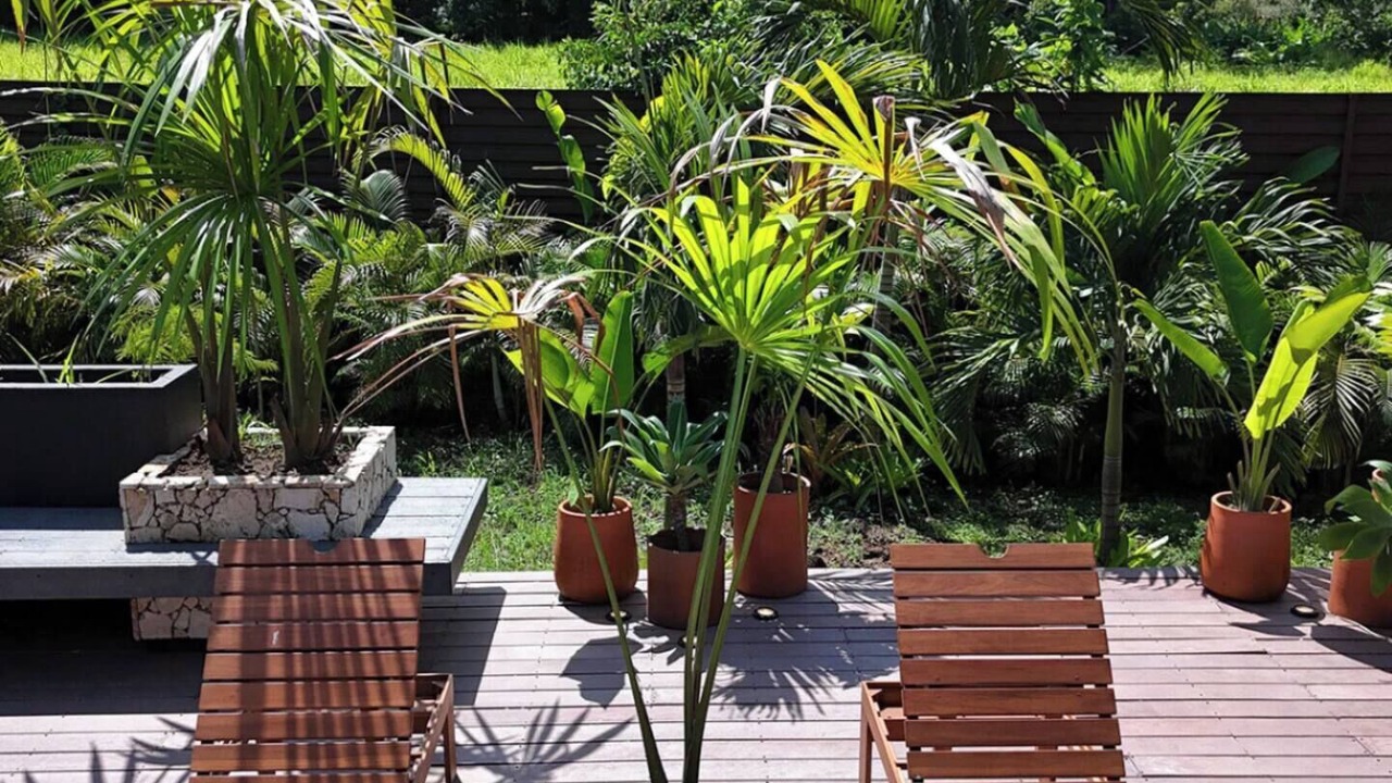 Photo of Patio Balcony in Cahuita