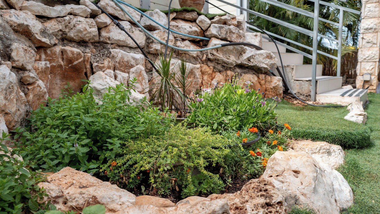 Photo of Outdoor in Mateh Asher