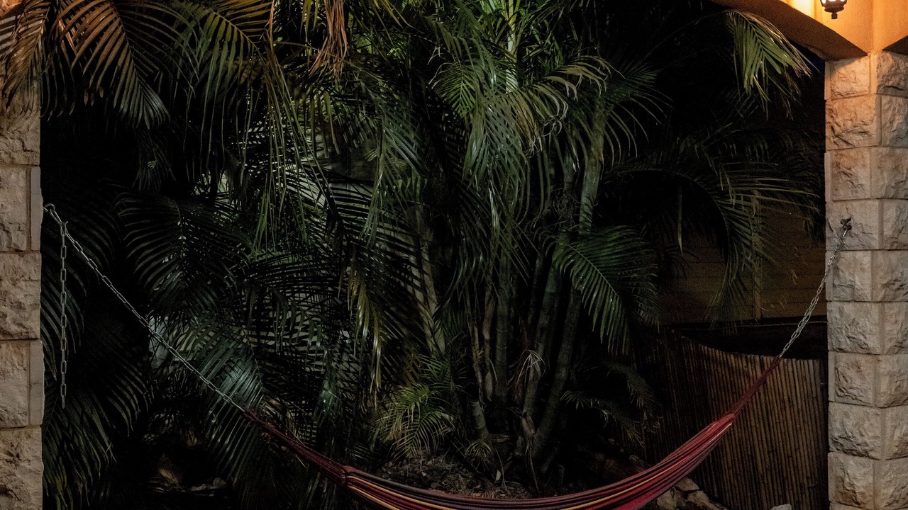 Photo of Outdoor in Mateh Asher