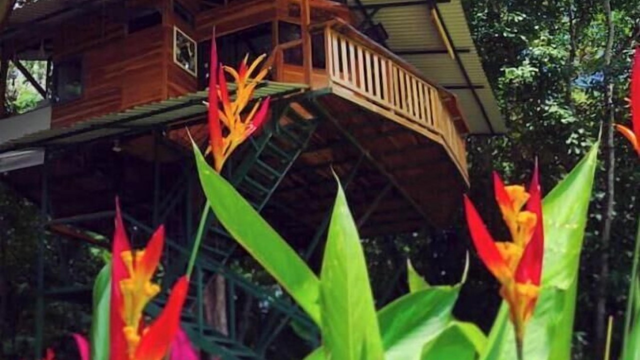 Photo of Outdoor in Jaco