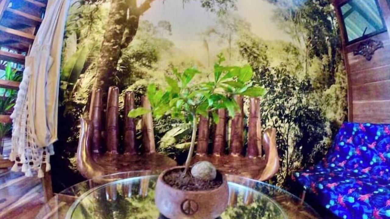 Photo of Others in Jaco