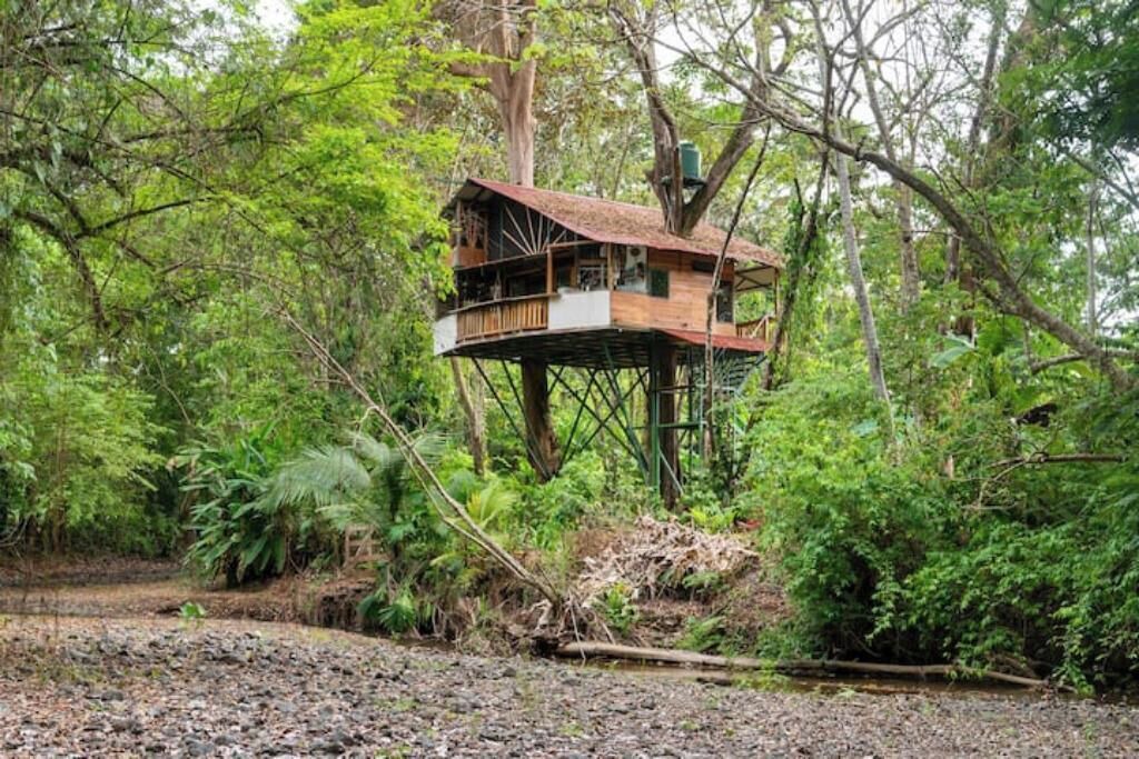 Photo of Outdoor in Jaco