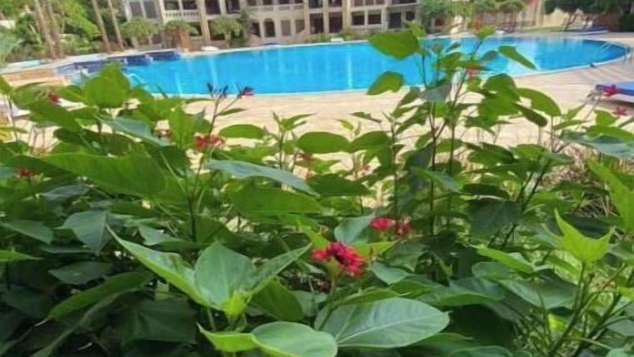Photo of Outdoor in Aqaba