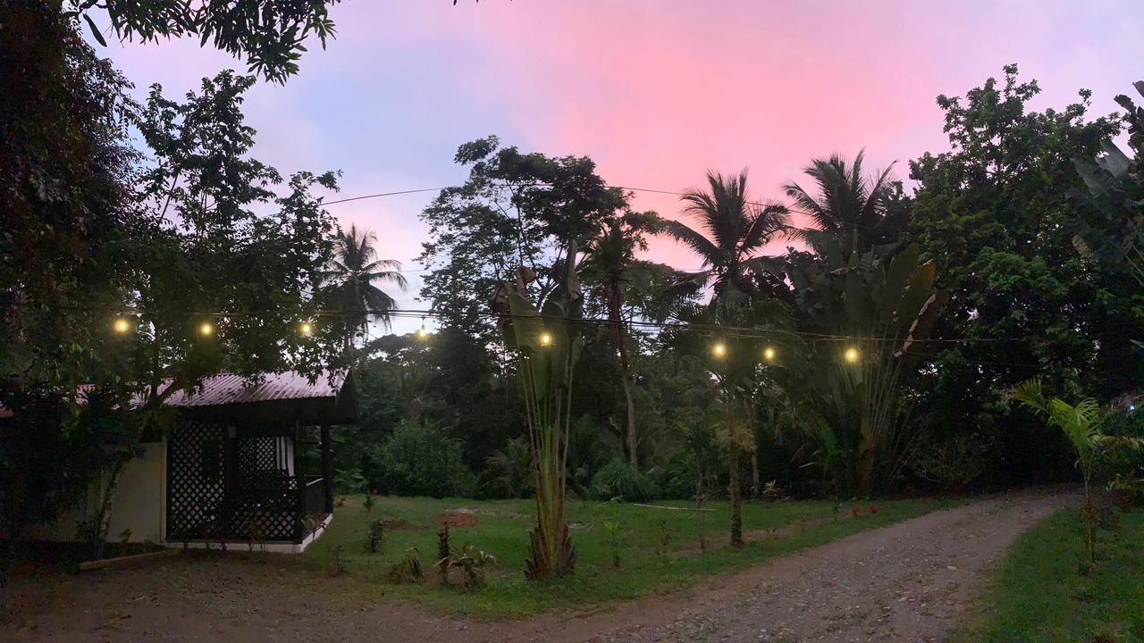 Photo of Outdoor in Cahuita