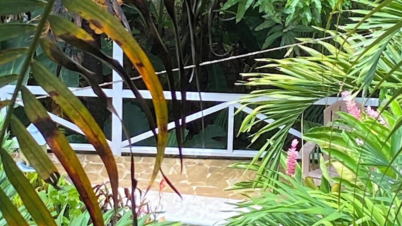 Photo of Outdoor in Montezuma