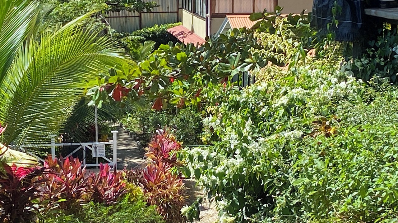 Photo of Outdoor in Montezuma