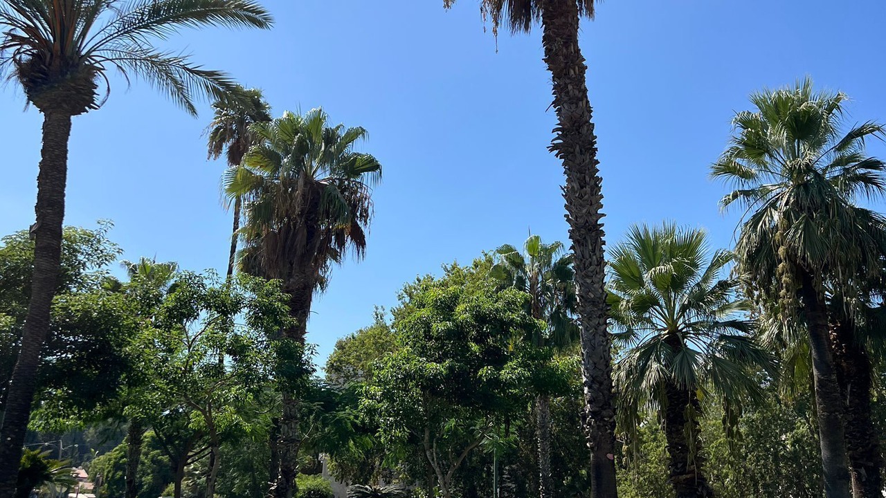 Photo of Outdoor in Tel Aviv