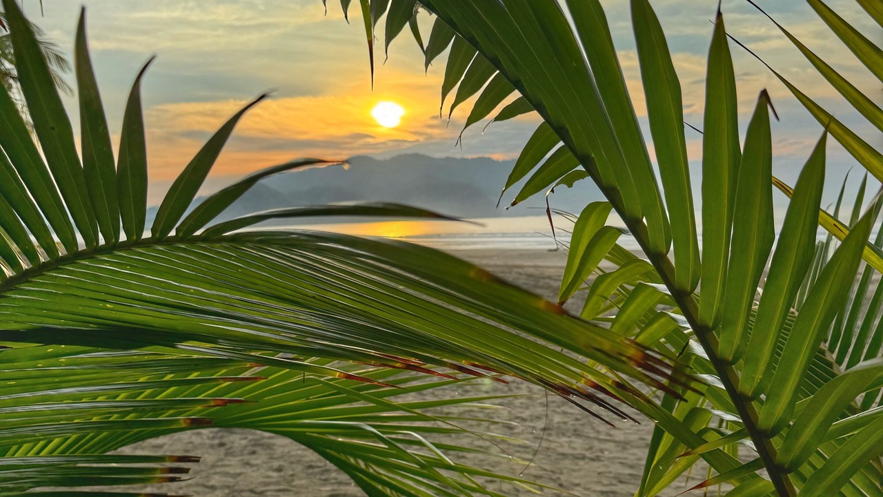 Photo of Others in Puntarenas