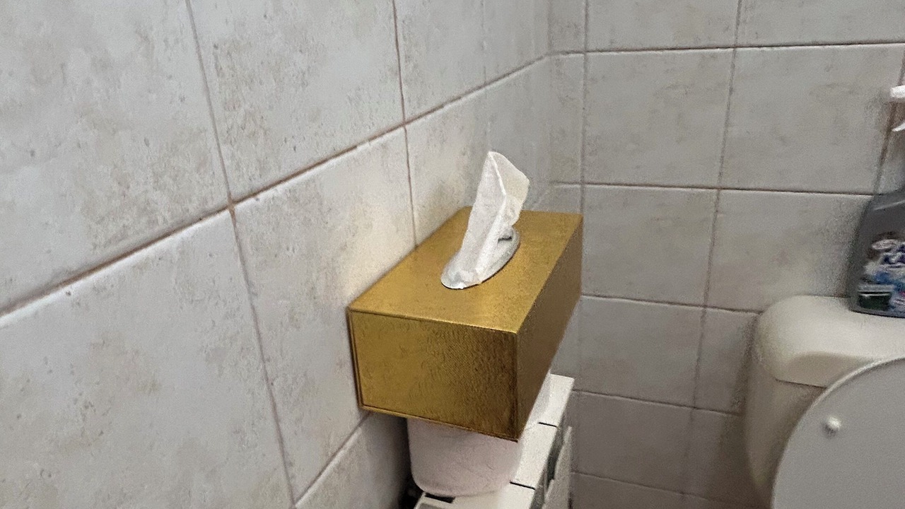 Photo of Bathroom in Rosh Pinna