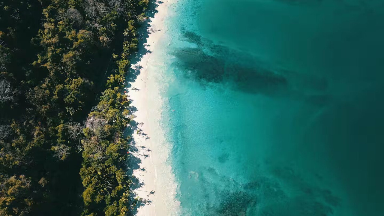 Photo of Others in Punta Leona