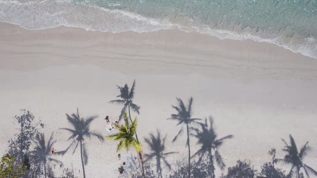 Photo of Others in Punta Leona