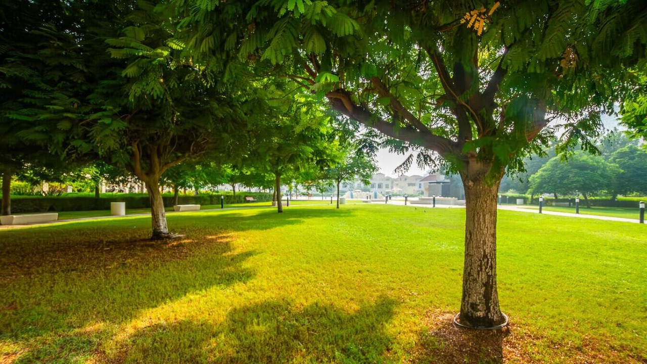 Photo of Outdoor in Al Hamra Village