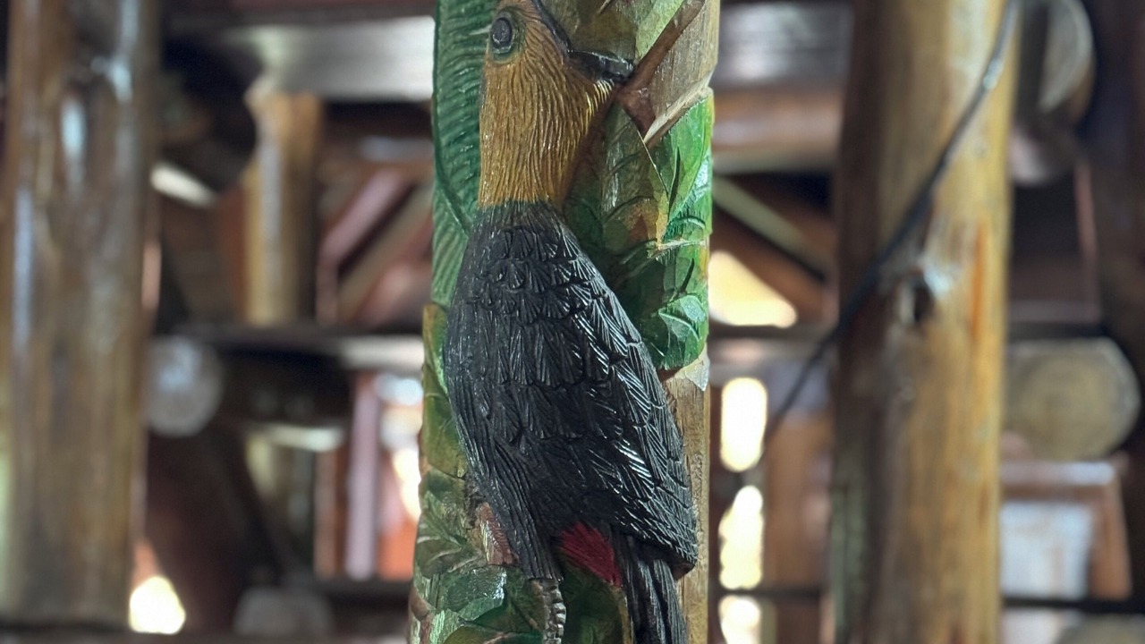 Photo of Others in La Fortuna