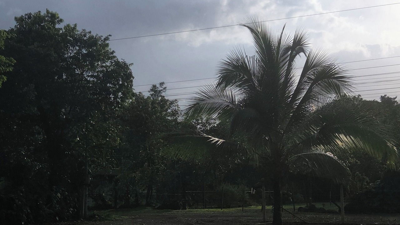 Photo of Others in Sarapiqui