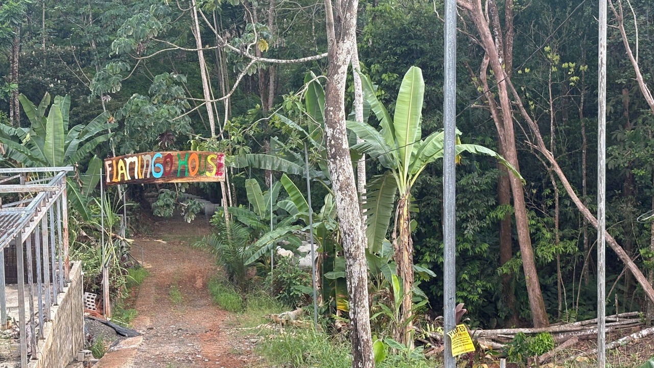 Photo of Others in Naranjito
