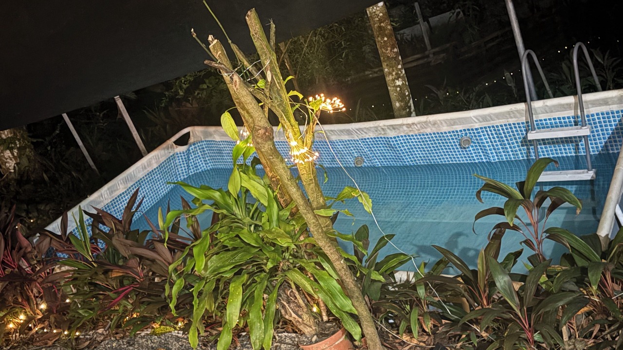 Photo of Outdoor in Naranjito