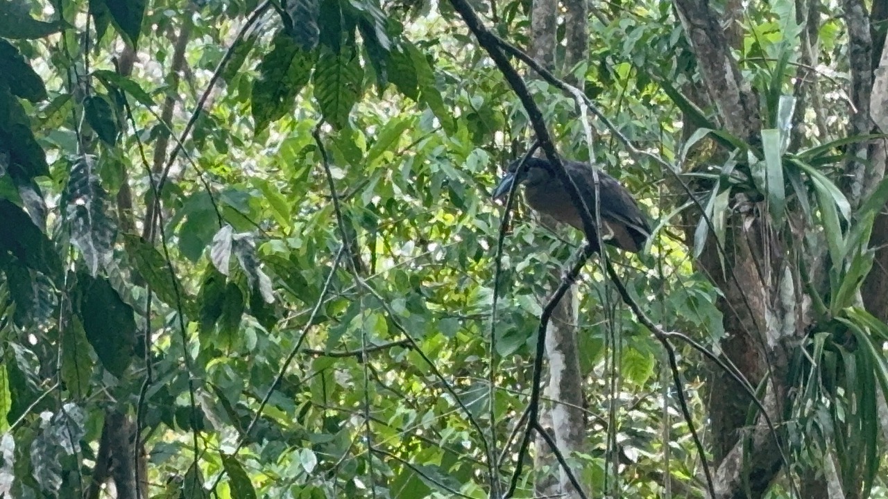 Photo of Others in Naranjito