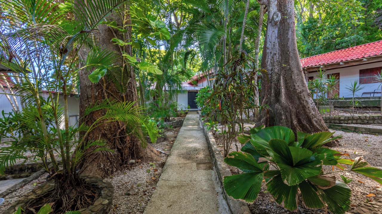 Photo of Outdoor in Playa Guiones
