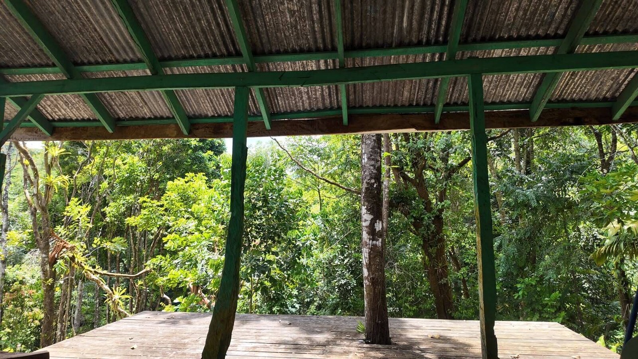 Photo of Outdoor in Carara