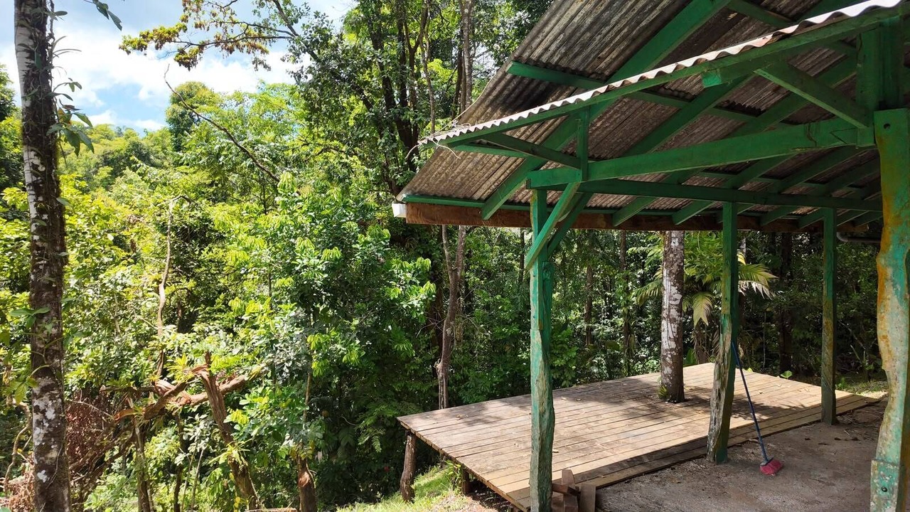Photo of Outdoor in Carara