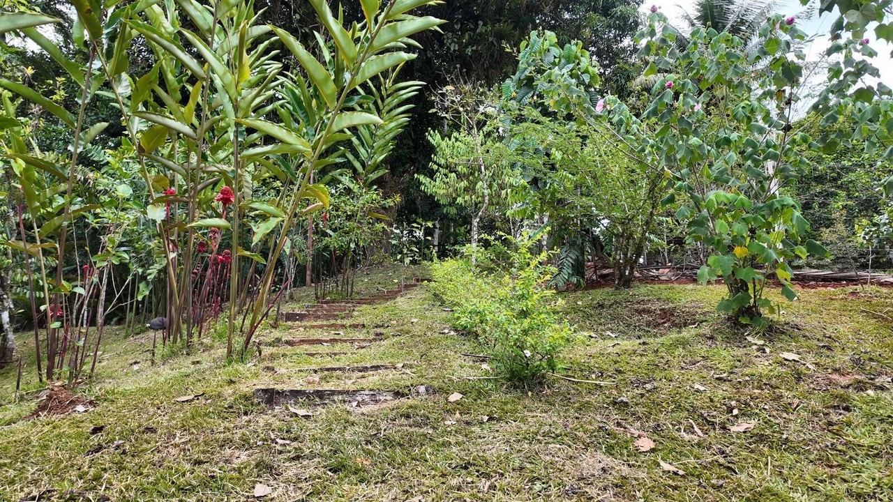 Photo of Outdoor in Carara