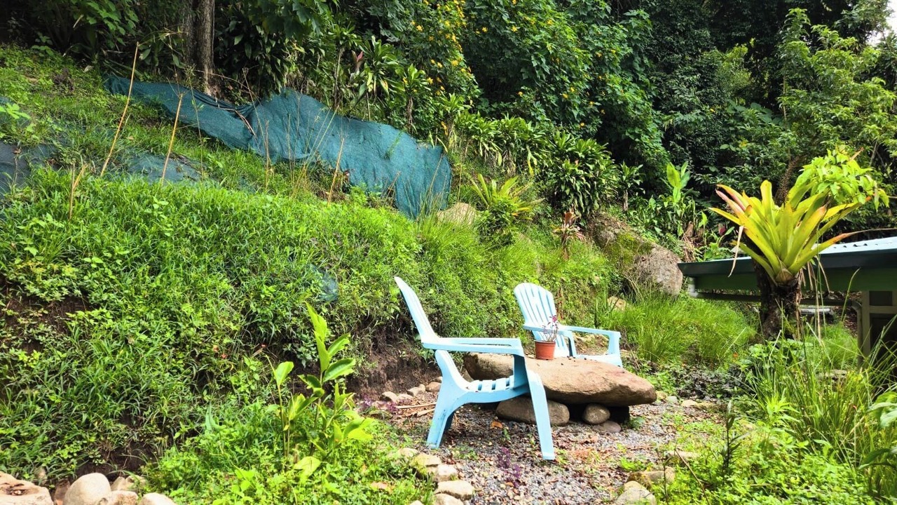 Photo of Outdoor in Rivas