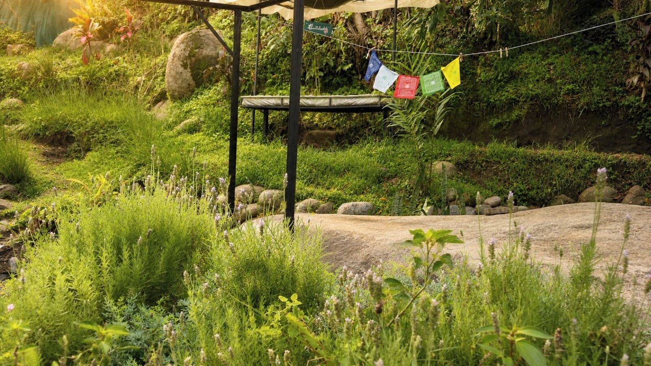Photo of Outdoor in Rivas