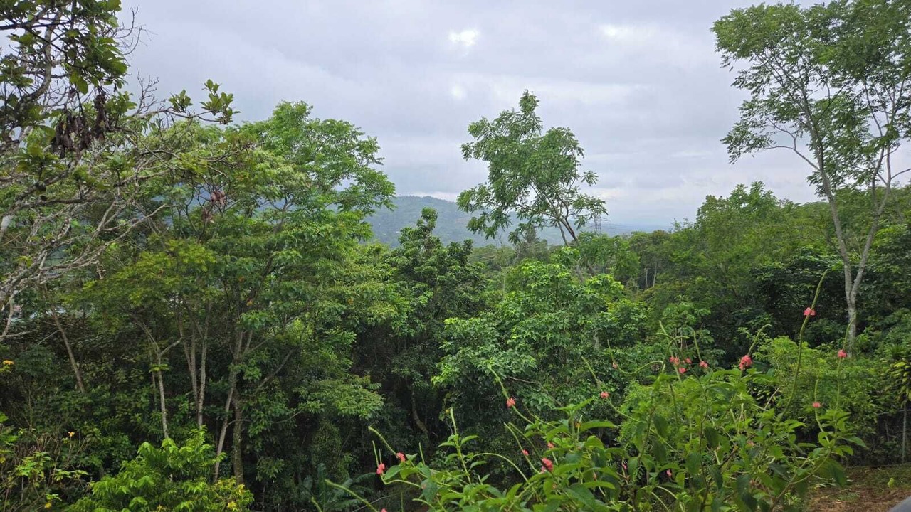 Photo of Others in Rivas
