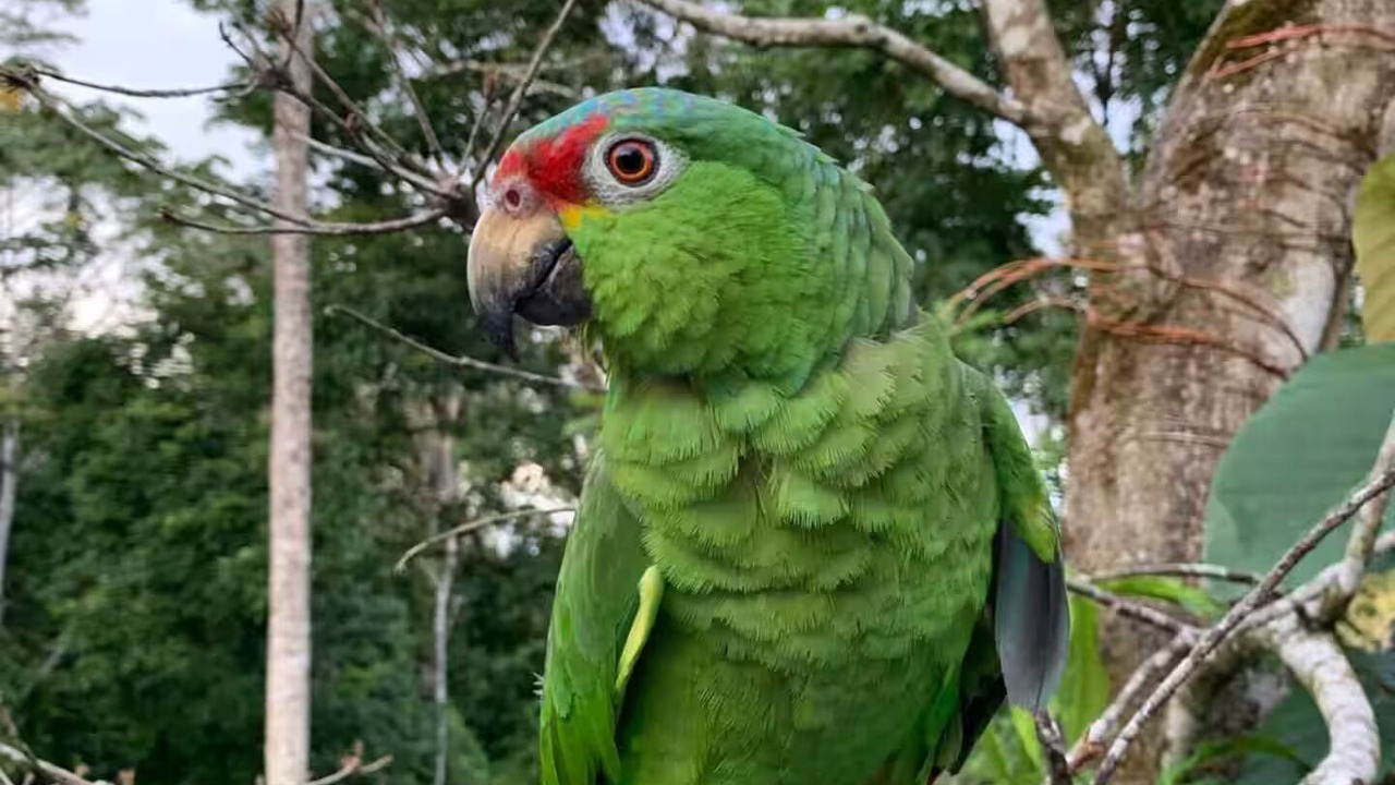 Photo of Others in Arenal