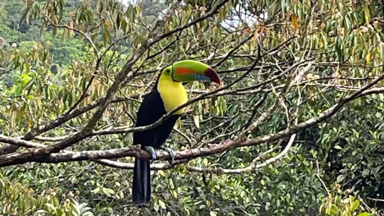 Photo of Others in Arenal