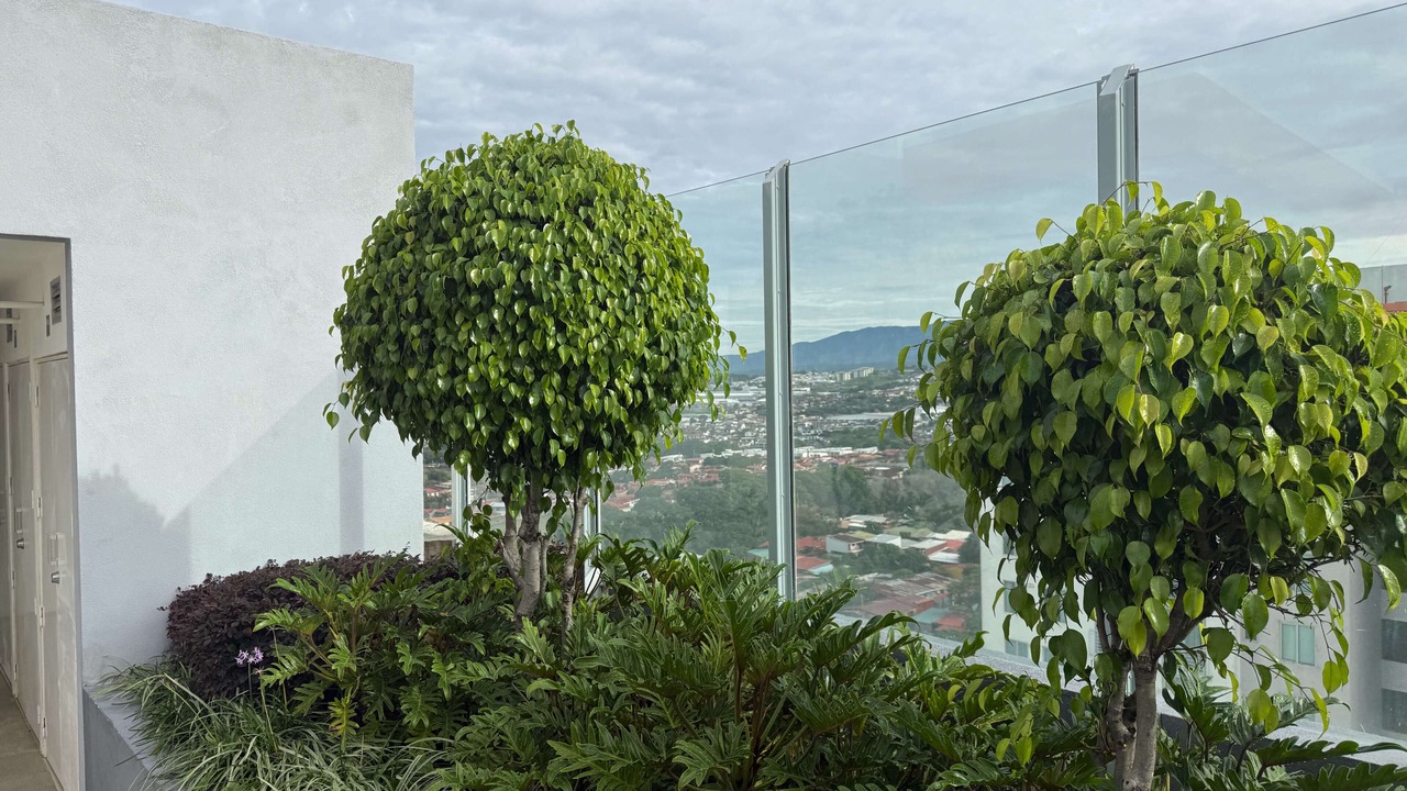 Photo of Outdoor in Heredia