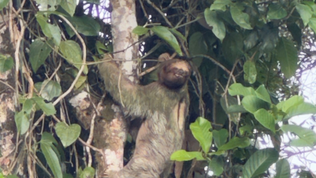 Photo of Others in La Tigra
