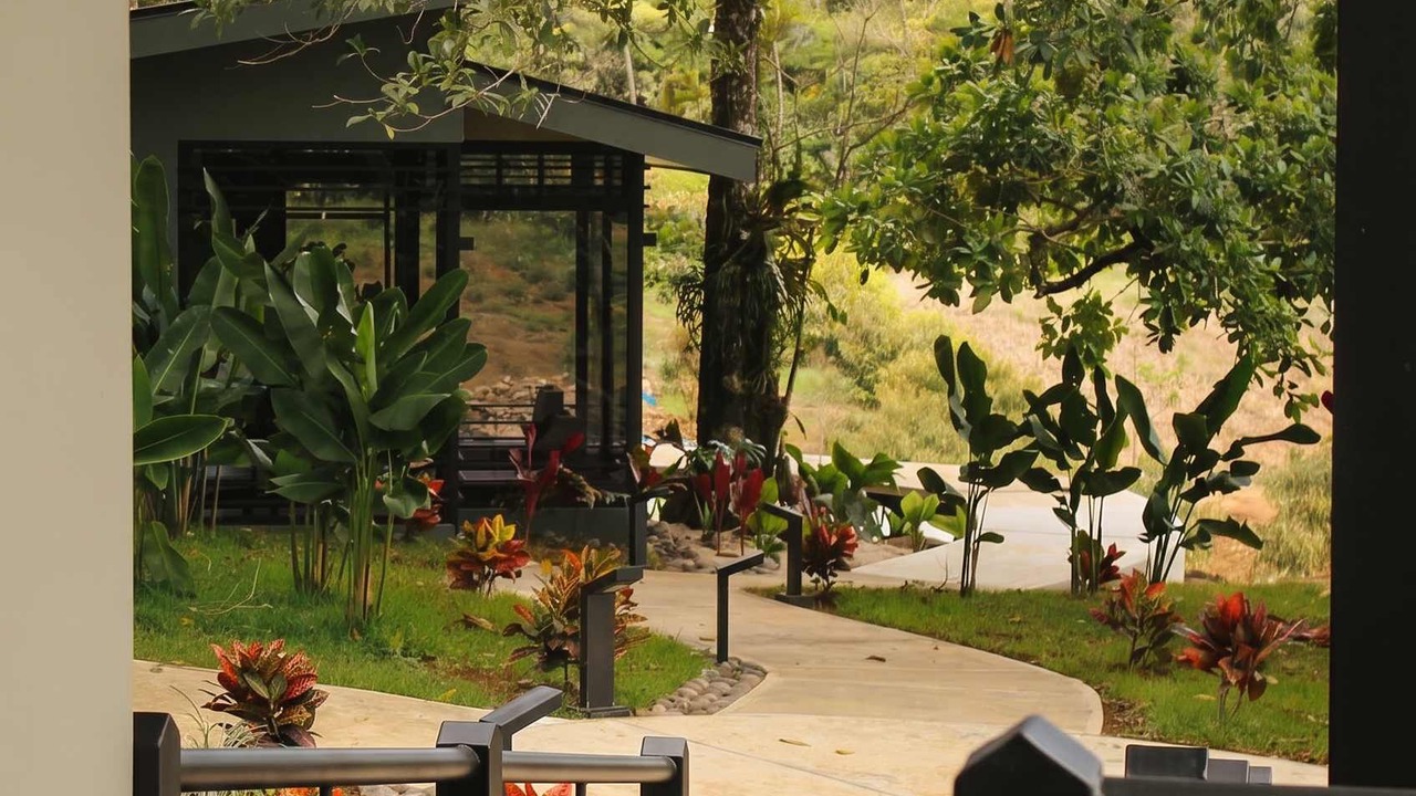 Photo of Outdoor in La Palmeria