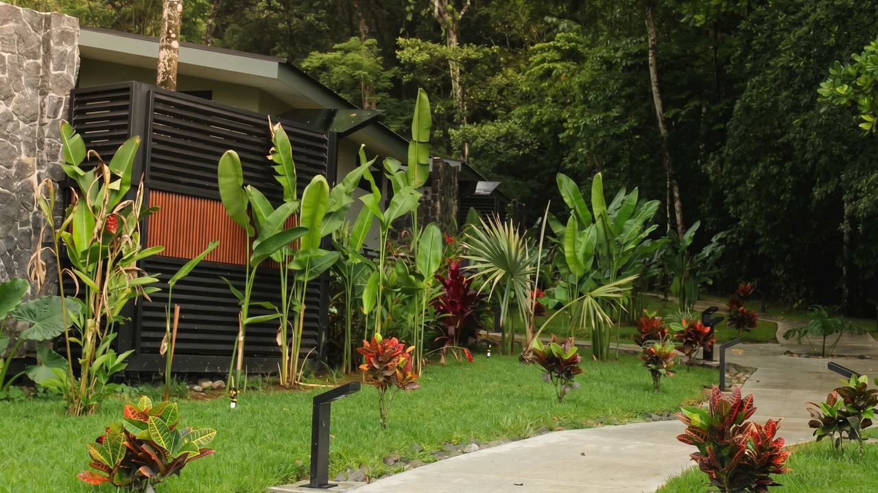 Photo of Outdoor in La Palmeria