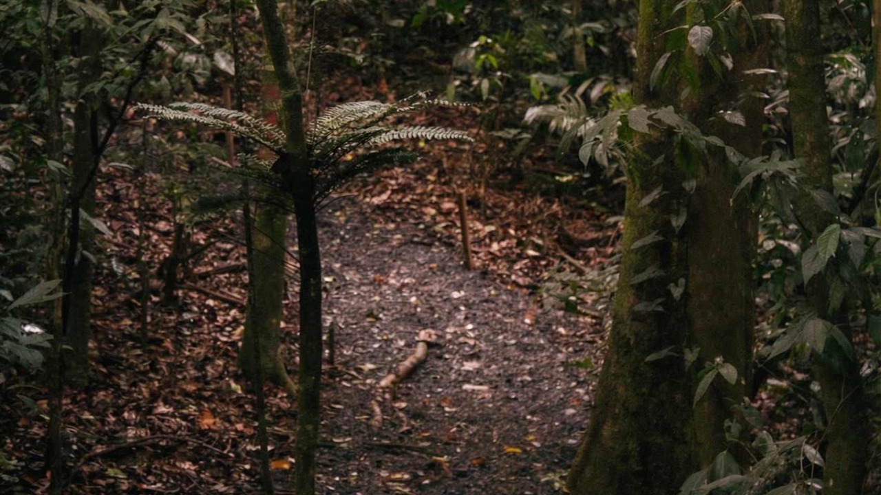Photo of Others in La Palmeria