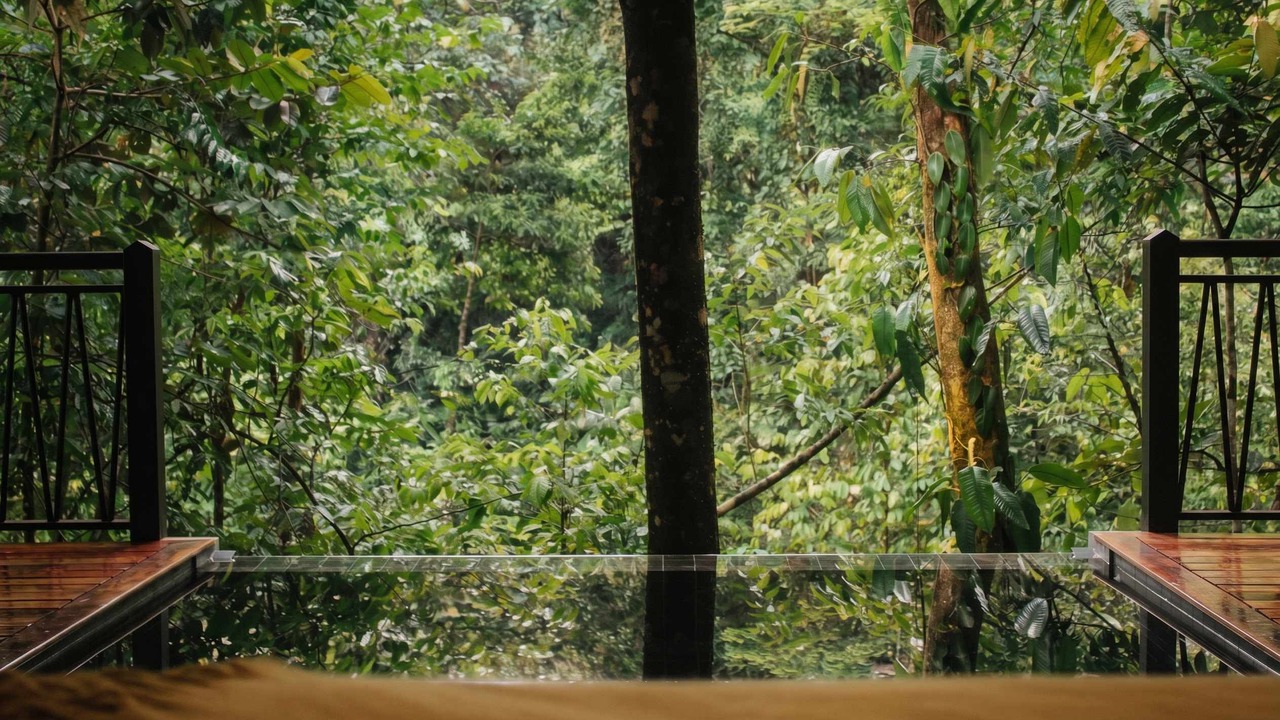 Photo of Outdoor in La Palmeria