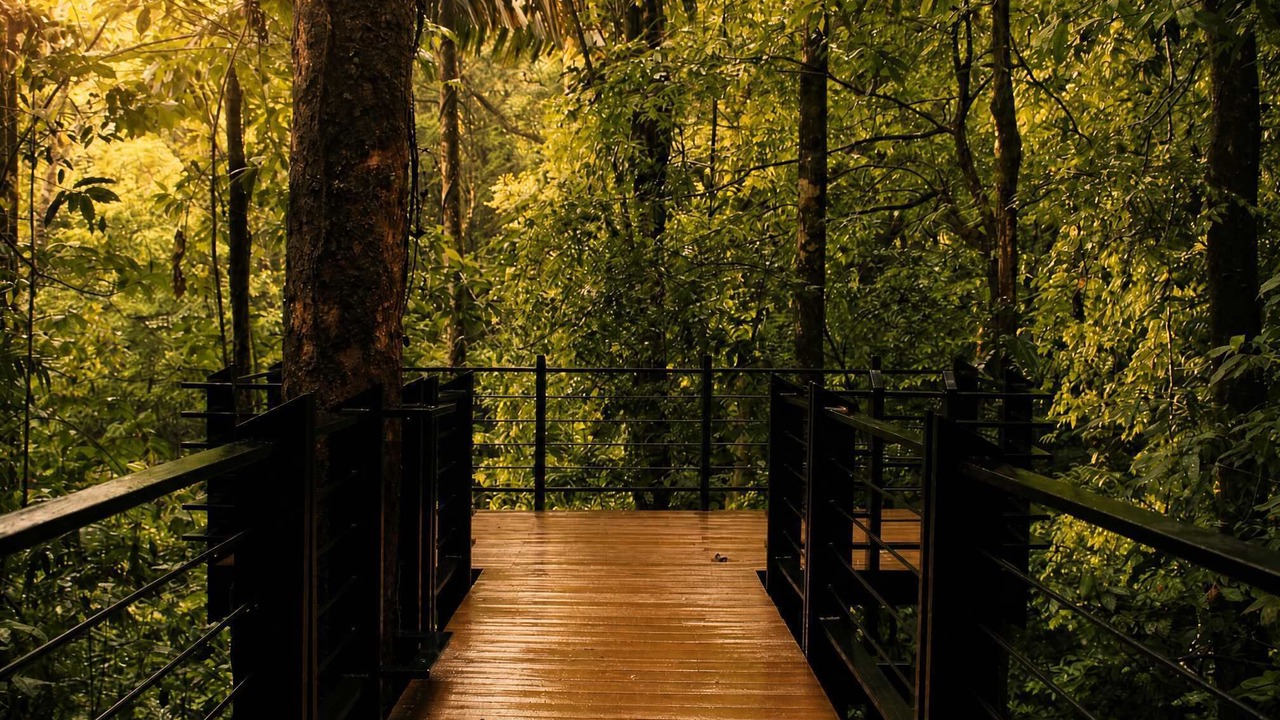 Photo of Outdoor in La Palmeria