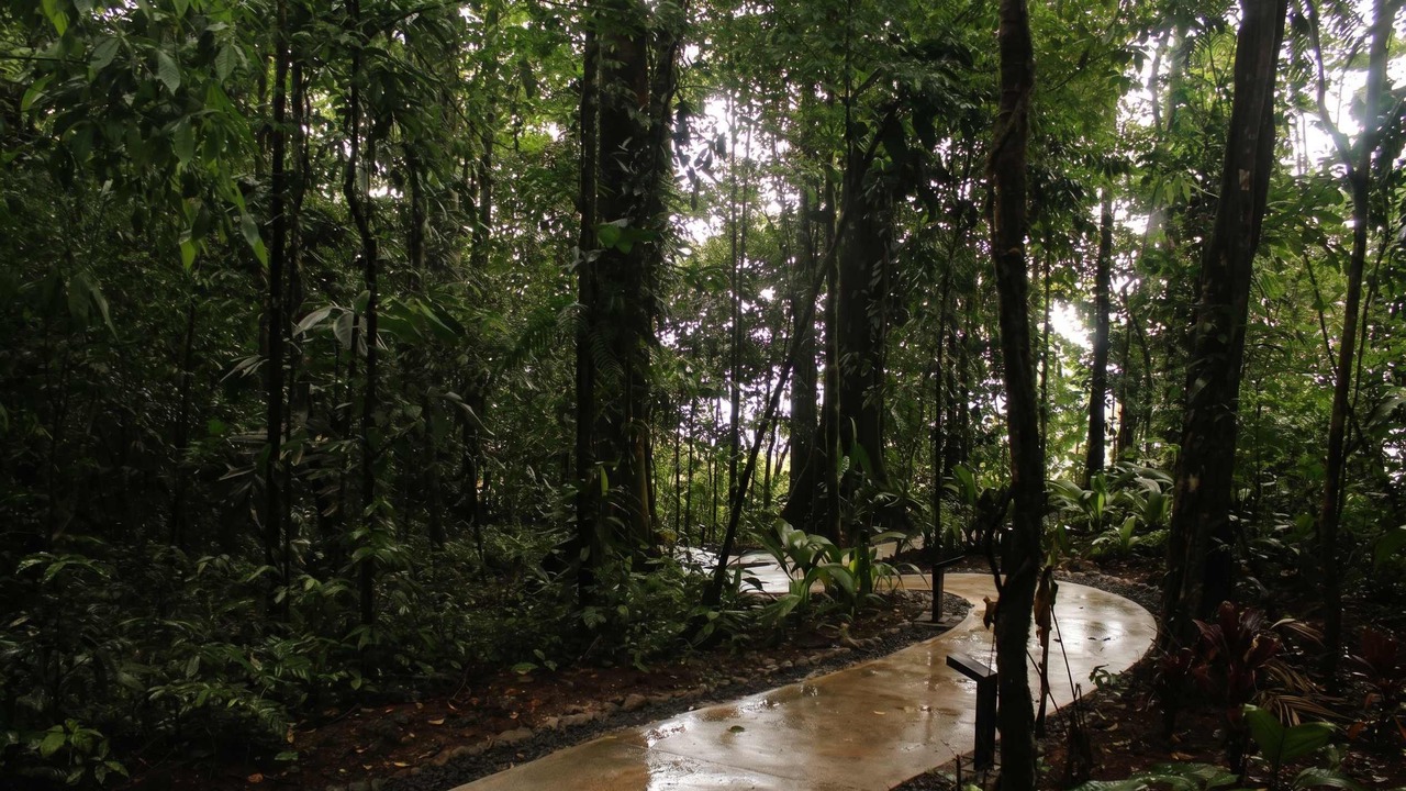 Photo of Outdoor in La Palmeria