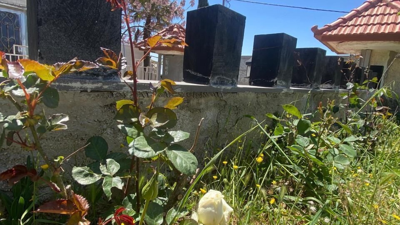Photo of Outdoor in Ajloun