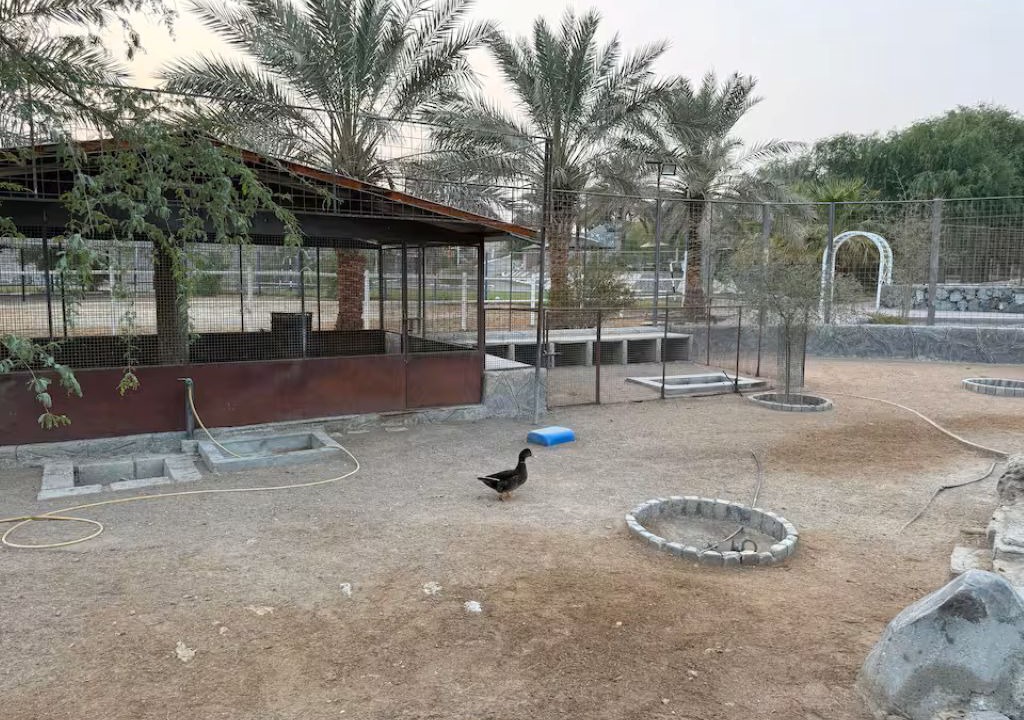 Photo of Outdoor in Ras Al Khaimah