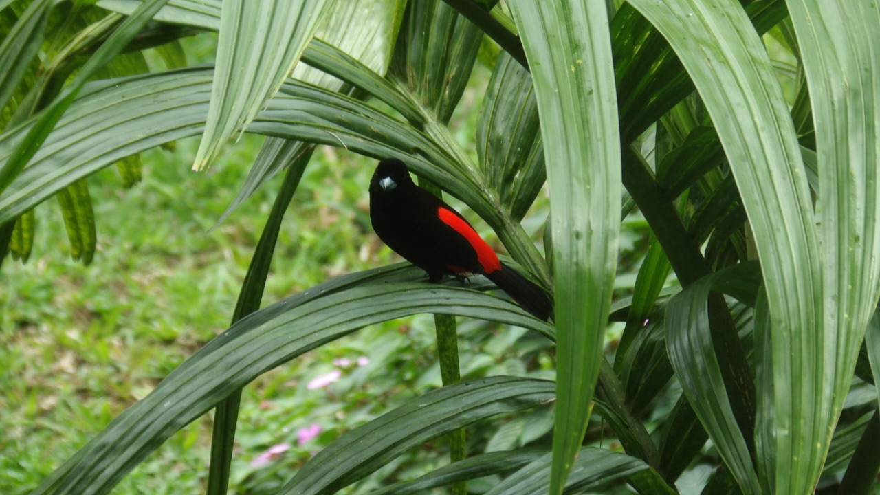 Photo of Others in Katira