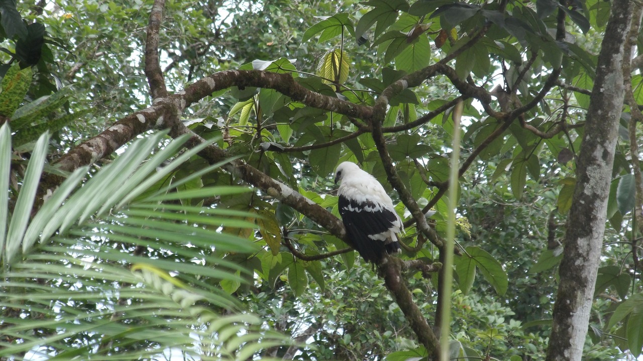 Photo of Others in Katira