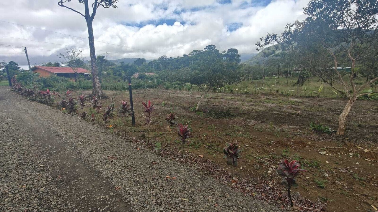 Photo of Outdoor in Katira