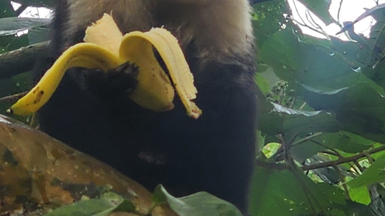 Photo of Others in Garabito