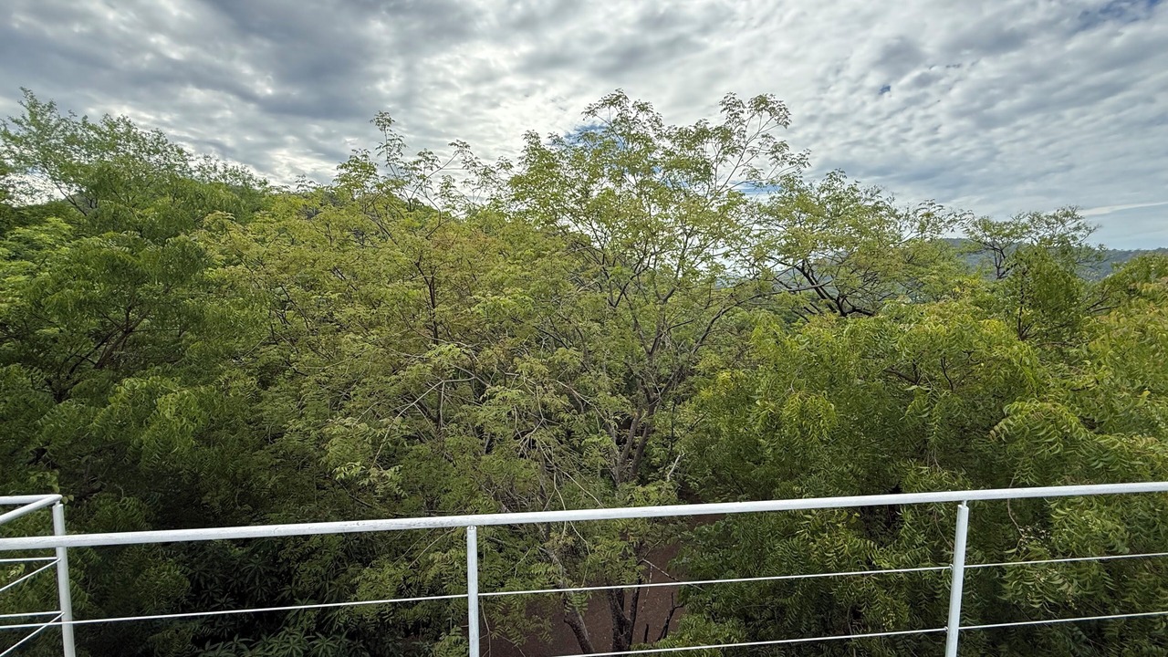 Photo of Others in Nuevo Colon